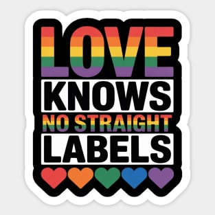 Love Knows No Straight Labels LGBT Gay Ally Queer Pride Sticker